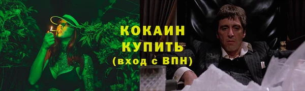 мдпв Верея