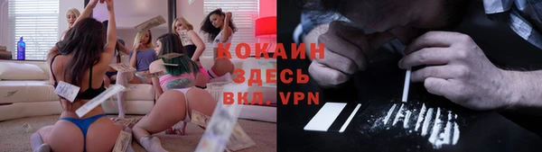 мдпв Верея