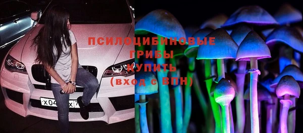 стаф Верхний Тагил