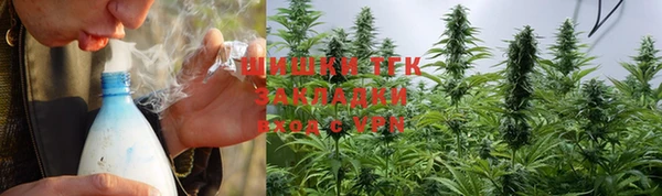 мдпв Верея